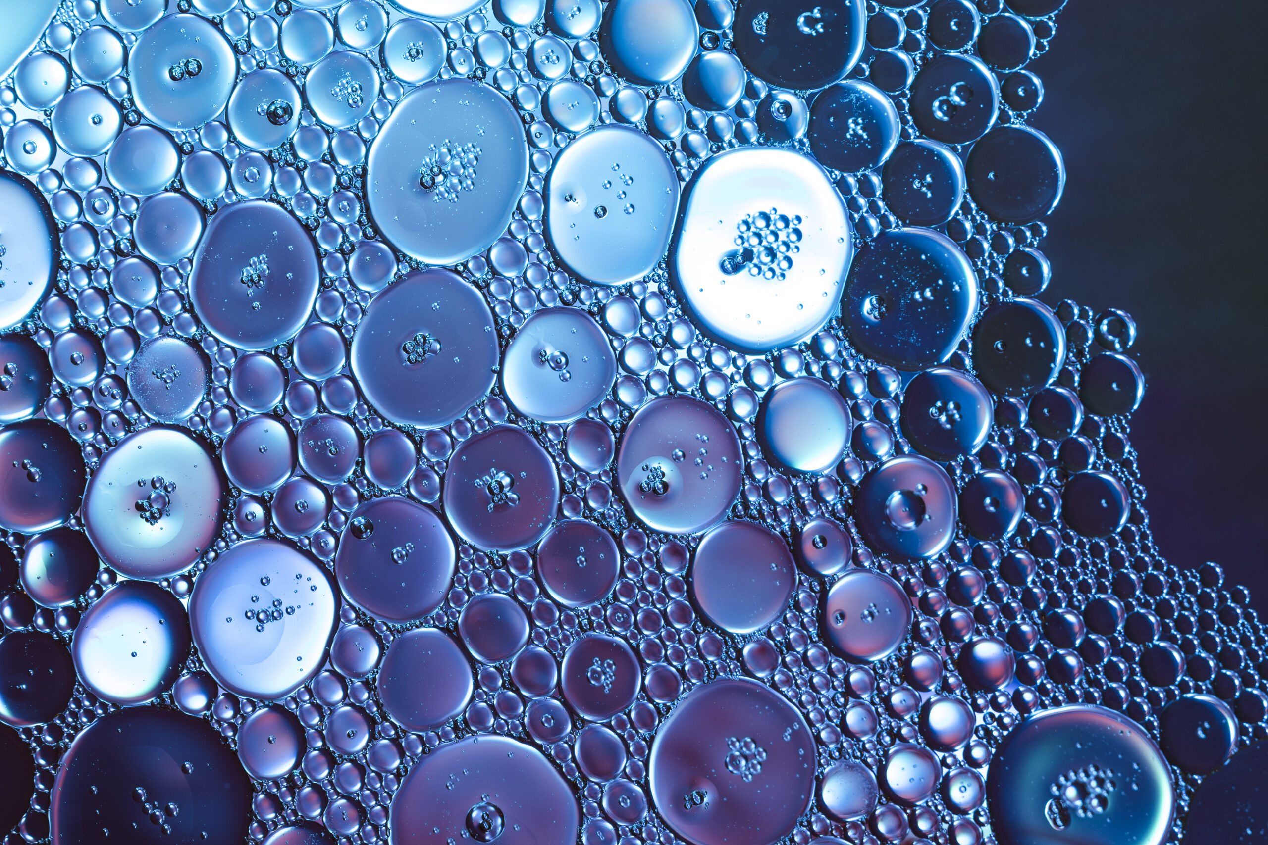 Protege el metabolismo