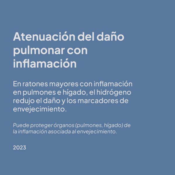 estudio 1
