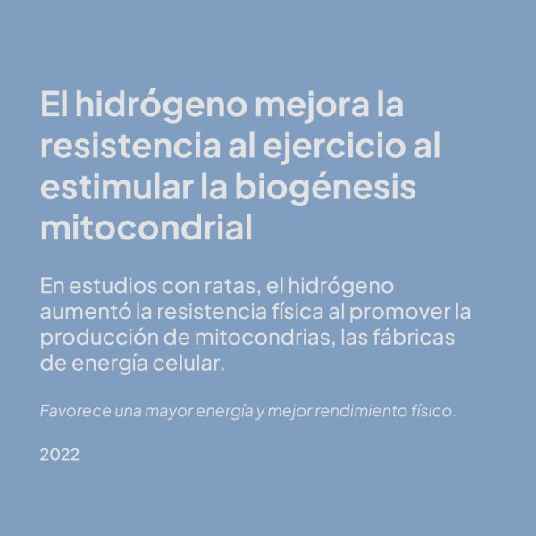 estudio 2h