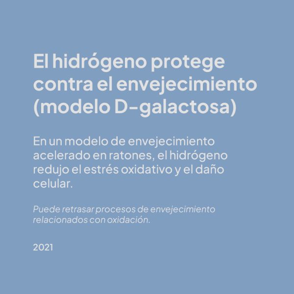 estudio 6