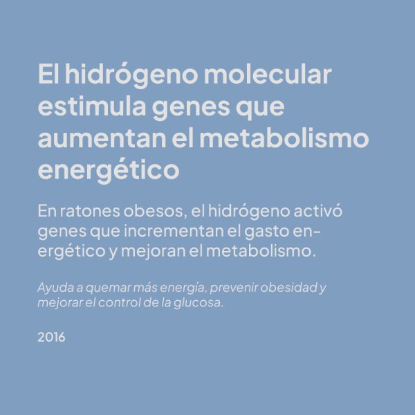 estudio 6