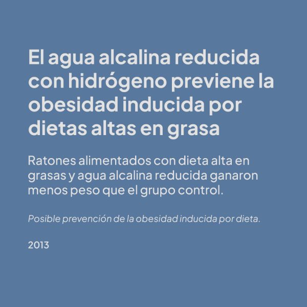 estudio 7