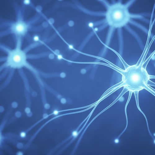 las-celulas-de-la-red-neuronal-en-azul